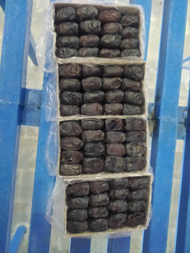IRANIAN DATES FOR EXPORT AND WHOLESALE
