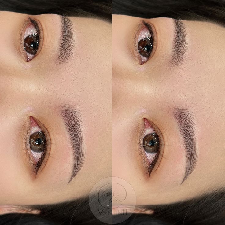 ریمو تاتو در غرب تهران