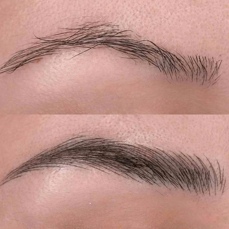 ریمو تاتو در غرب تهران