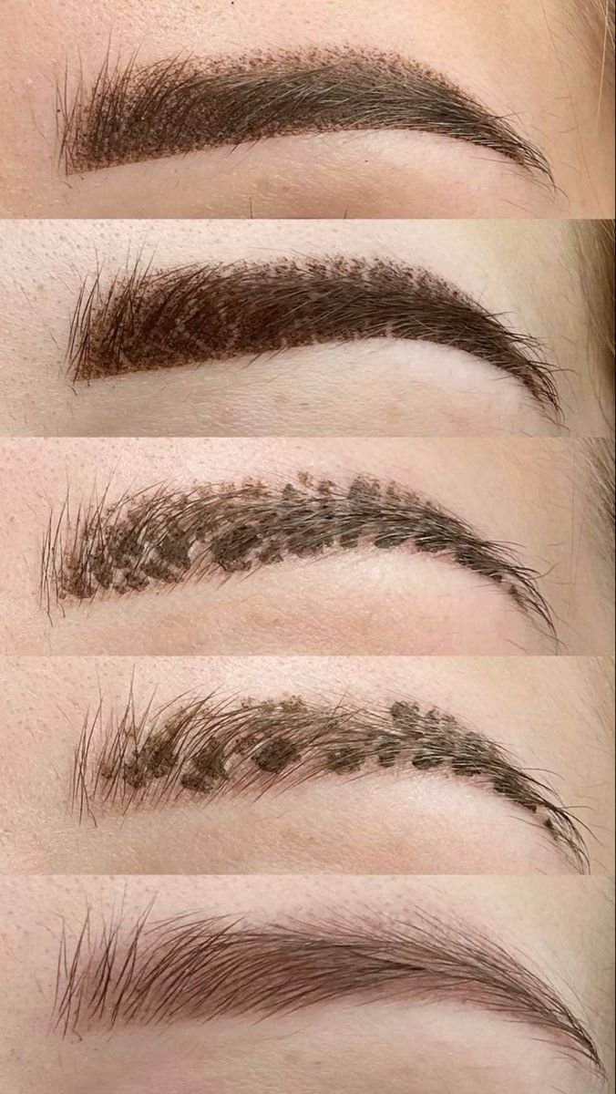 ریمو تاتو در غرب تهران