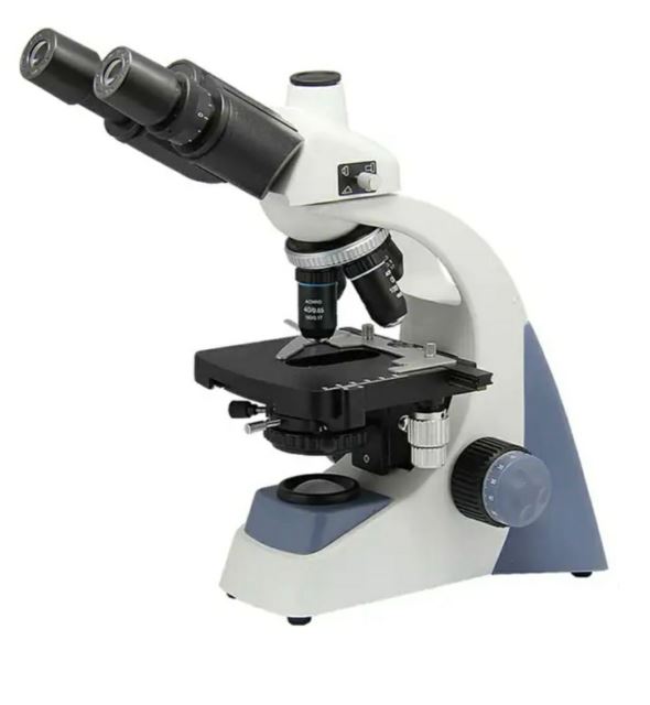 دکتر زنان و زایمان فلاورجان