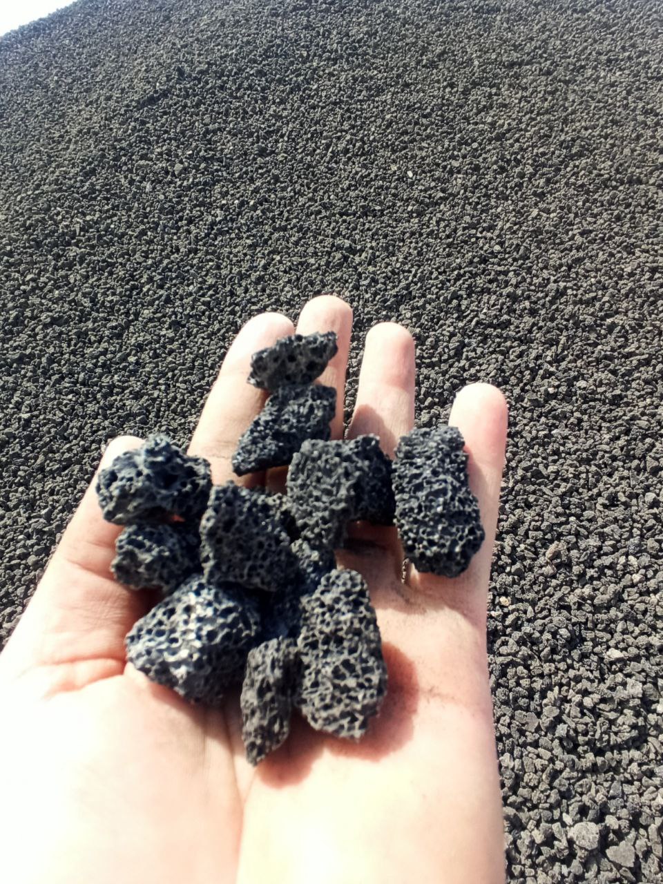 پوکه نخودی فندوقی رسول محمدی