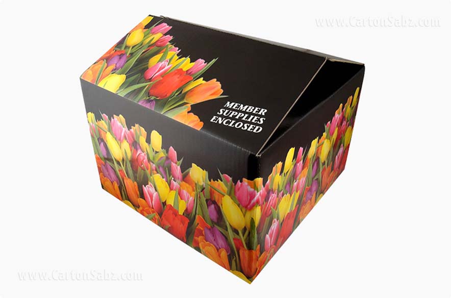 خدمات کارتن و مقوادرغرب تهران