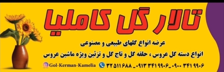 محسن نوروزماهانی