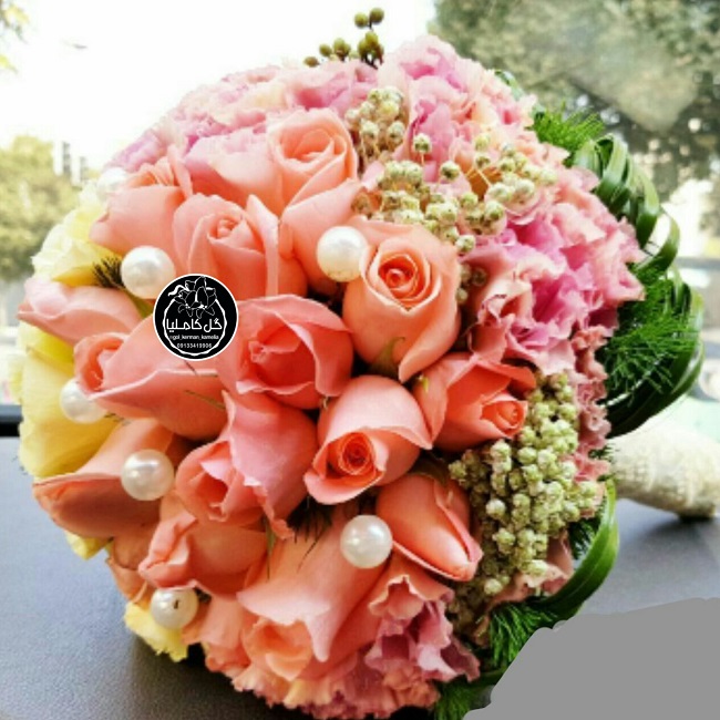 تالار گل کاملیا کرمان