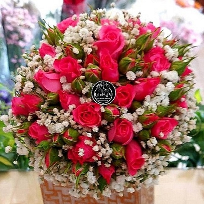 تالار گل کاملیا کرمان