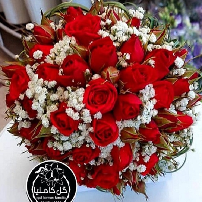 تالار گل کاملیا کرمان