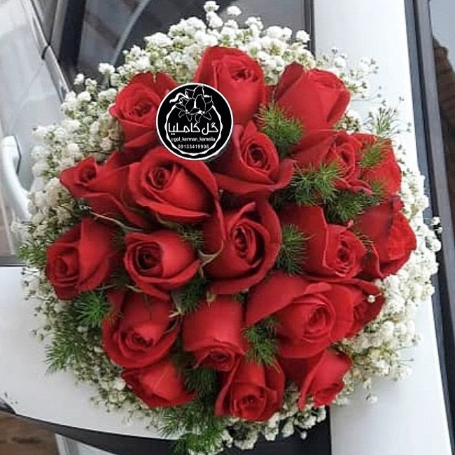 تالار گل کاملیا کرمان