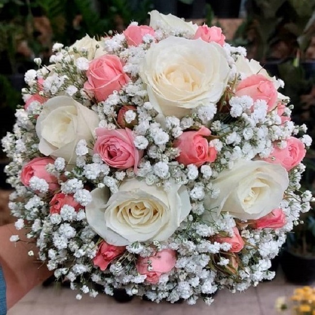 تالار گل کاملیا کرمان
