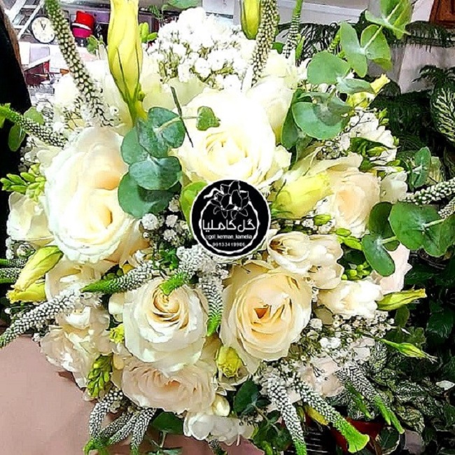 تالار گل کاملیا کرمان