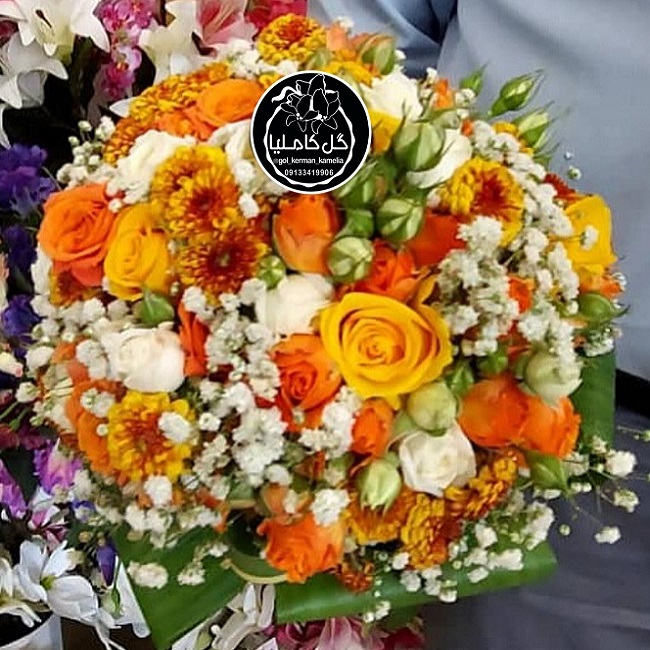 تالار گل کاملیا کرمان