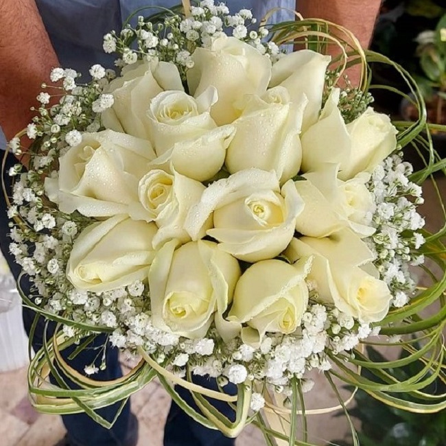 تالار گل کاملیا کرمان