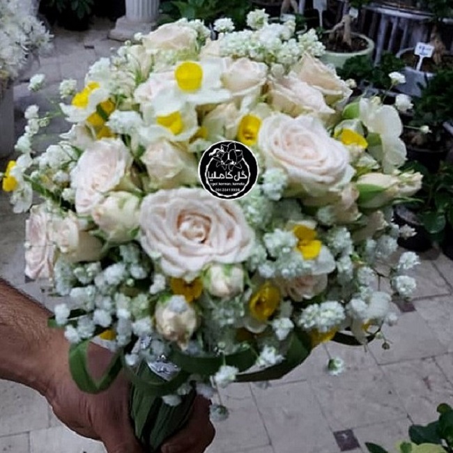 تالار گل کاملیا کرمان