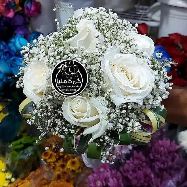 تالار گل کاملیا کرمان