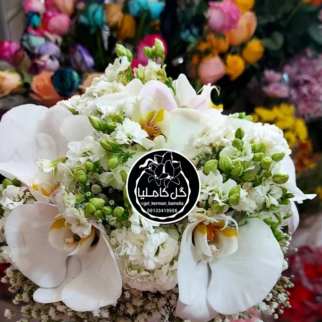 تالار گل کاملیا کرمان