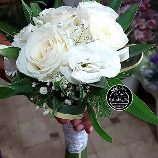 تالار گل کاملیا کرمان