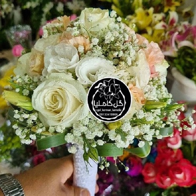 تالار گل کاملیا کرمان