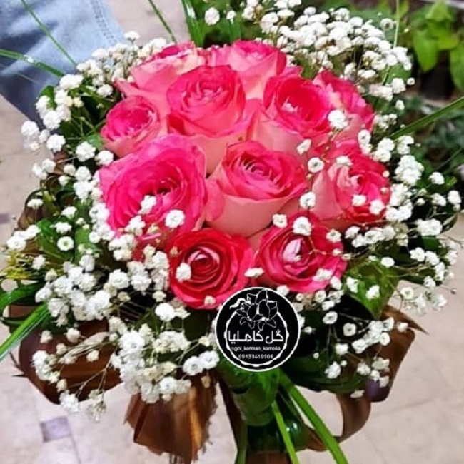 تالار گل کاملیا کرمان
