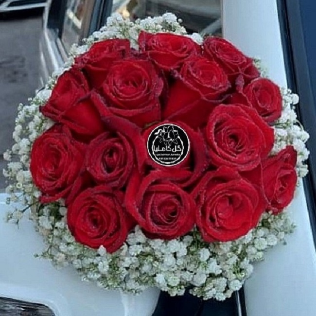 تالار گل کاملیا کرمان