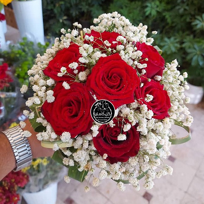 تالار گل کاملیا کرمان