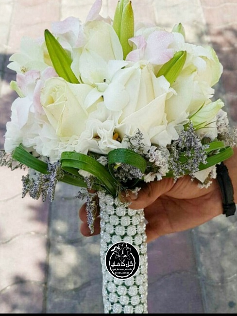 تالار گل کاملیا کرمان