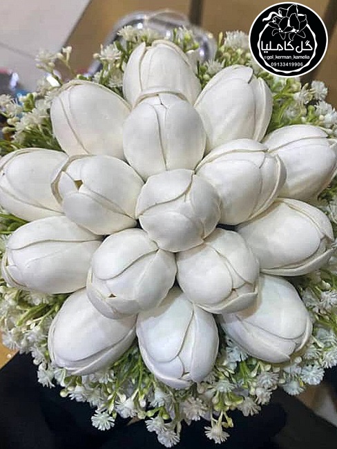 تالار گل کاملیا کرمان