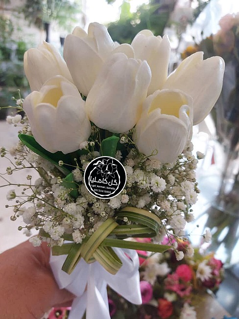 تالار گل کاملیا کرمان