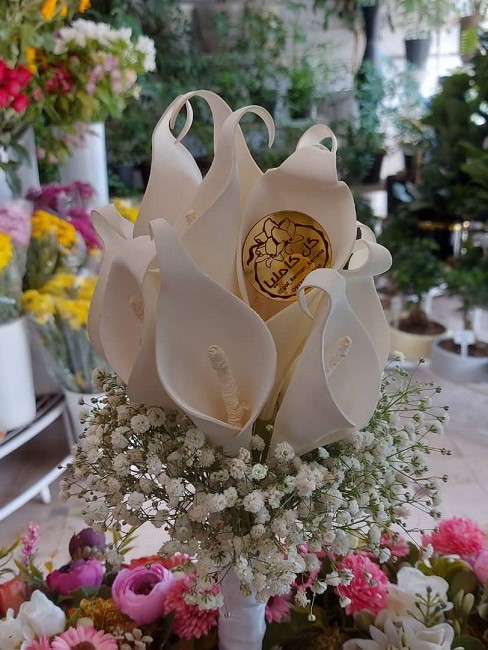 تالار گل کاملیا کرمان