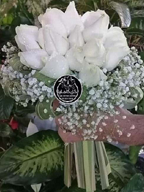 تالار گل کاملیا کرمان