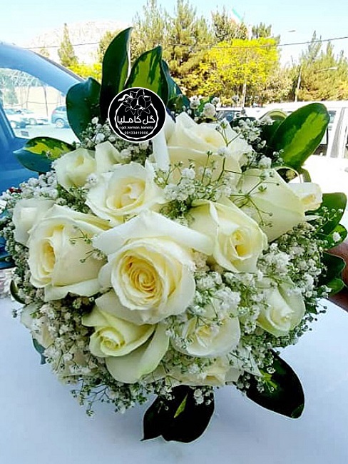 تالار گل کاملیا کرمان