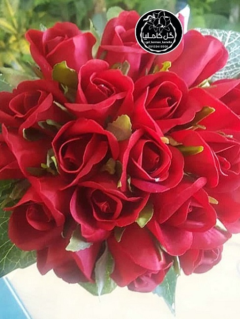 تالار گل کاملیا کرمان