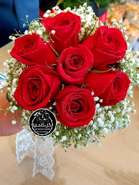 تالار گل کاملیا کرمان