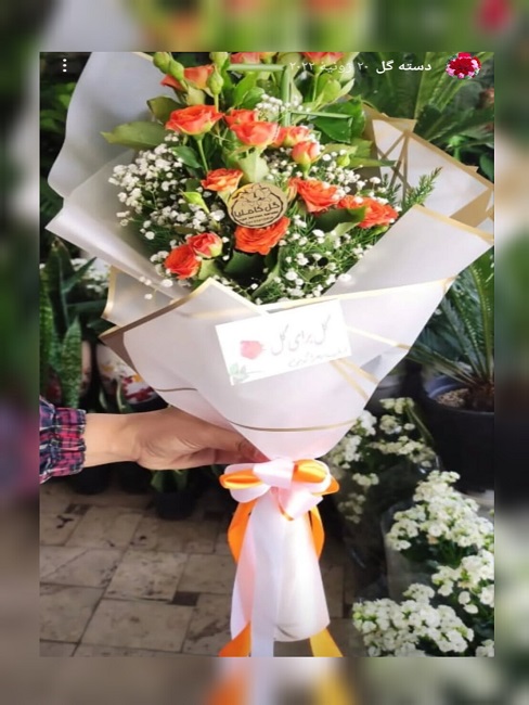 تالار گل کاملیا کرمان