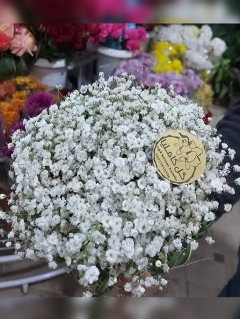 تالار گل کاملیا کرمان