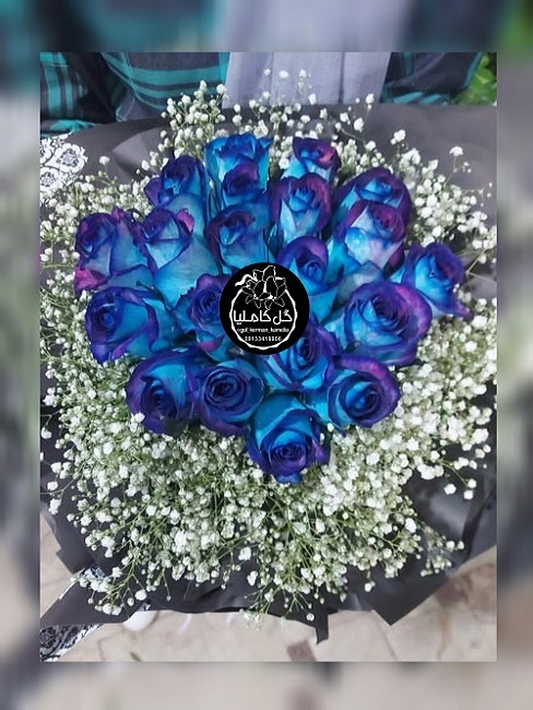 تالار گل کاملیا کرمان