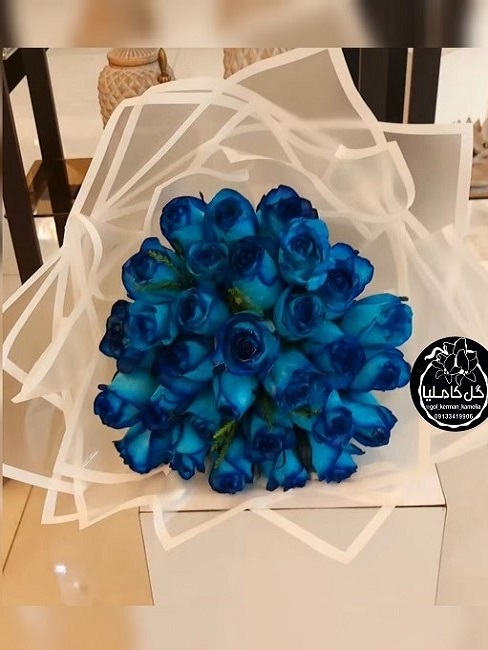 تالار گل کاملیا کرمان