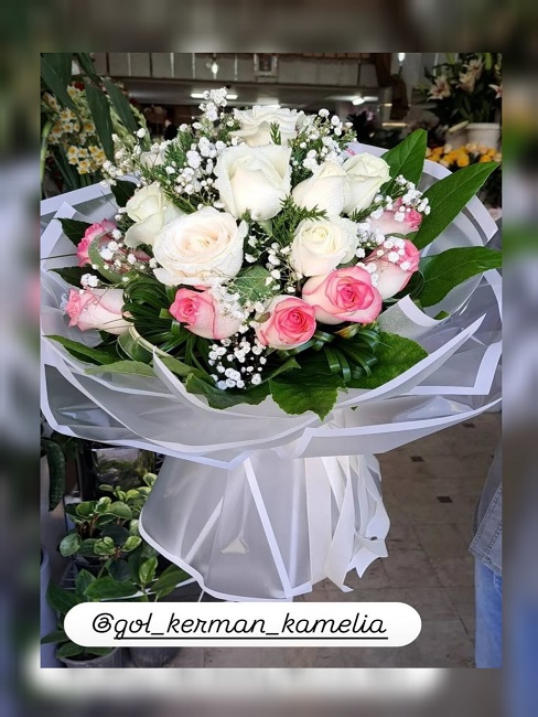 تالار گل کاملیا کرمان