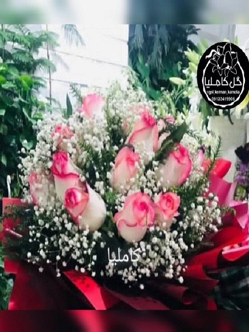 تالار گل کاملیا کرمان