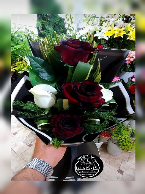 تالار گل کاملیا کرمان