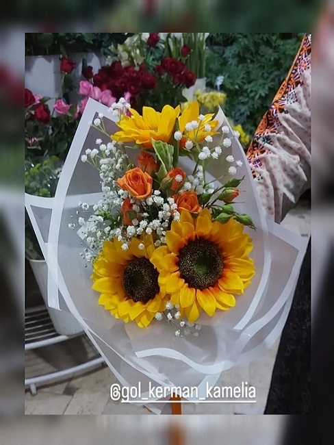 تالار گل کاملیا کرمان