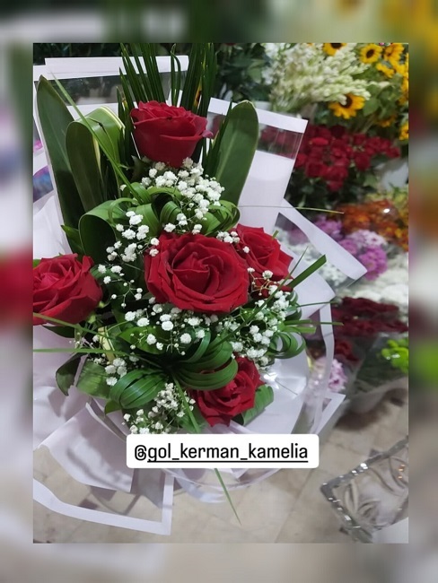 تالار گل کاملیا کرمان