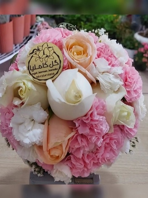 تالار گل کاملیا کرمان