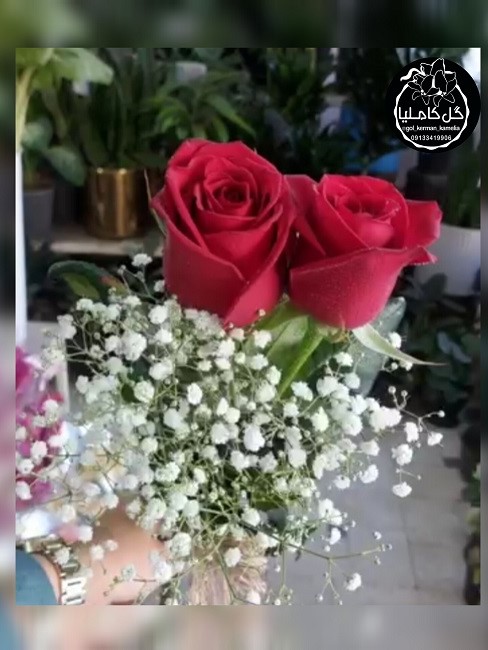 تالار گل کاملیا کرمان