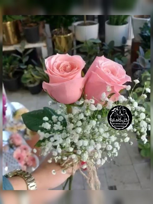 تالار گل کاملیا کرمان