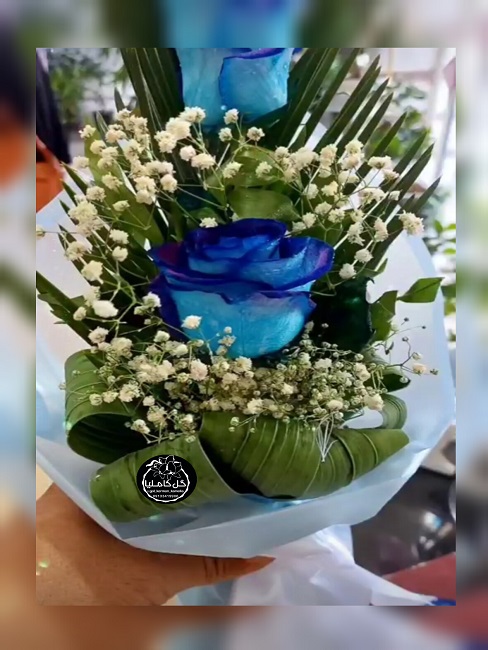 تالار گل کاملیا کرمان