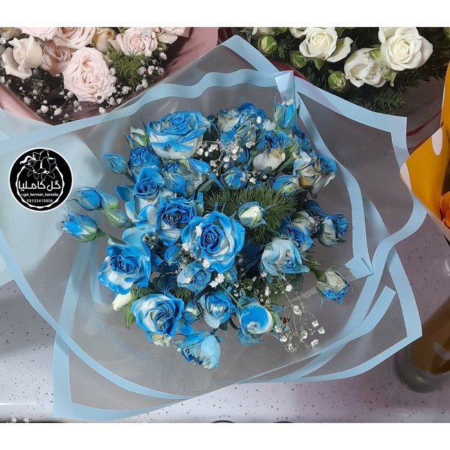 تالار گل کاملیا کرمان