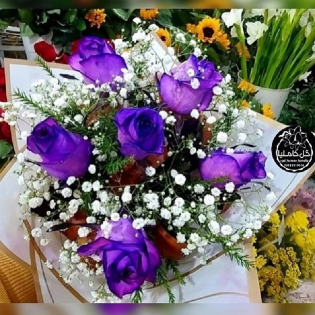 تالار گل کاملیا کرمان