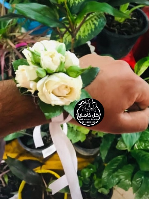 تالار گل کاملیا کرمان