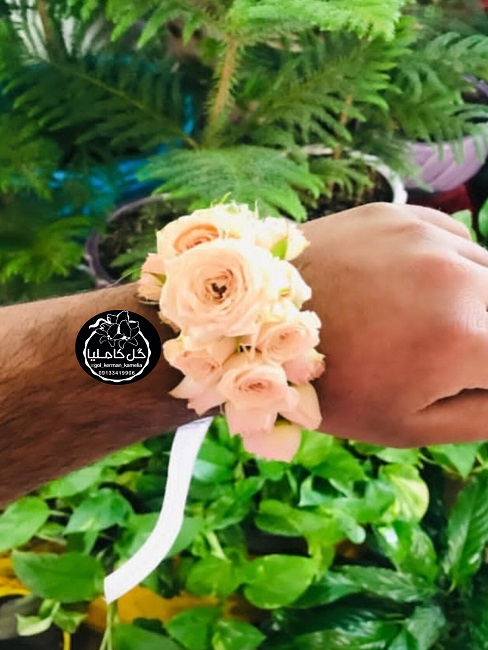 تالار گل کاملیا کرمان