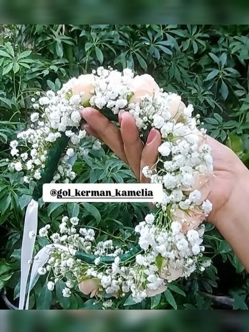 تالار گل کاملیا کرمان